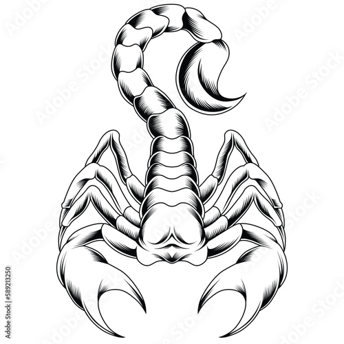 scorpion tattoo style in black and white