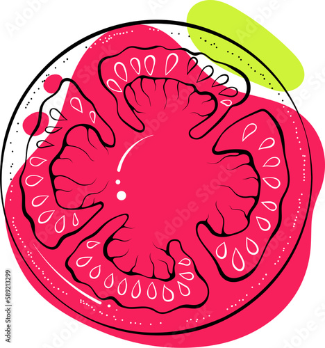 Circle tomato outline. Round vegetable slice. Stylish sketch with abstract colored spots. Black lines with stain, blot. Vector hand drawn modern illustration isolated on white. Design for print, logo