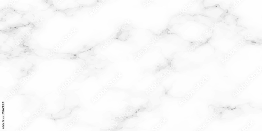 Obraz premium Abstract background with Seamless Texture Background, Black and white Marbling surface, with geometric line Illustration design for wallpaper or skin wall tile luxurious material interior or exterior 