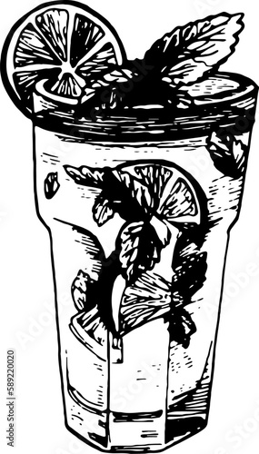 Hand Drawn Long Drink Cocktail Or Mojito. Sketched Illustration