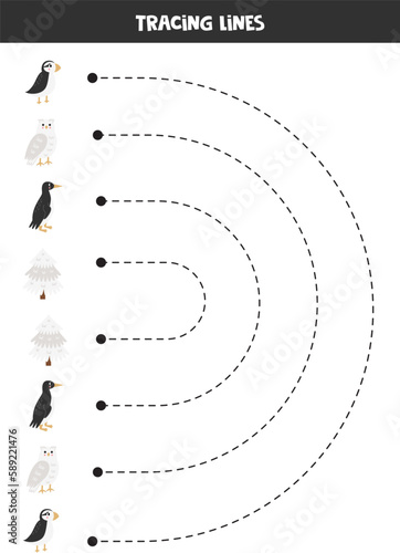 Tracing lines for kids. Cartoon arctic birds.