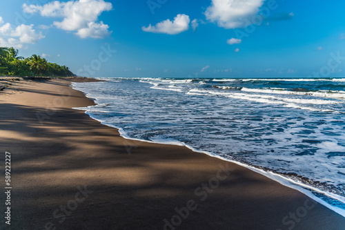 A view up the beach at Tortuguero in Costa Rica during the dry season photo