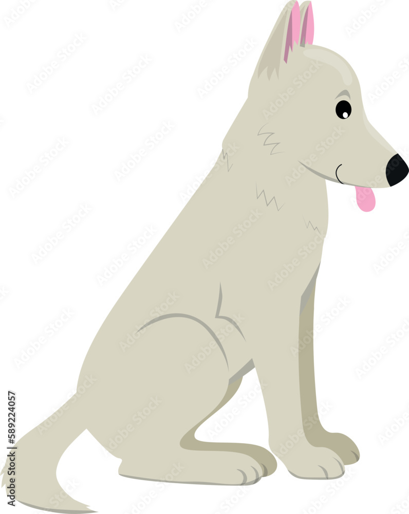 Vector illustration of cute big dog in flat style. Isolated on white. Swiss shephard. Illustration in childish style.