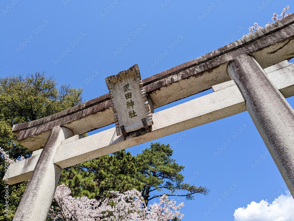 春の青空に映える武田神社鳥居