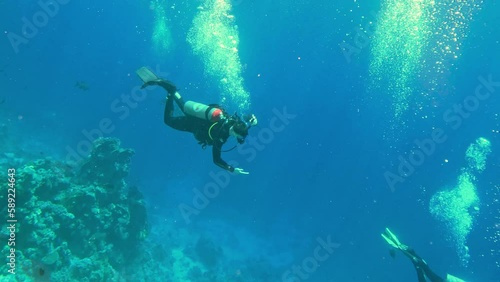 Wallpaper Mural Exploring the depths of the sea with scuba gear. Torontodigital.ca