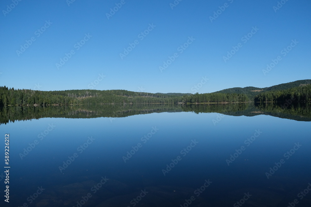 Calm lake reflecting forest and clear sky