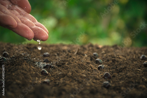 Environment concept.Hand watering the seeds . Global warming. Sustainable development. Solar and Green Business Renewable Energy Future Sustainability Net Zero.