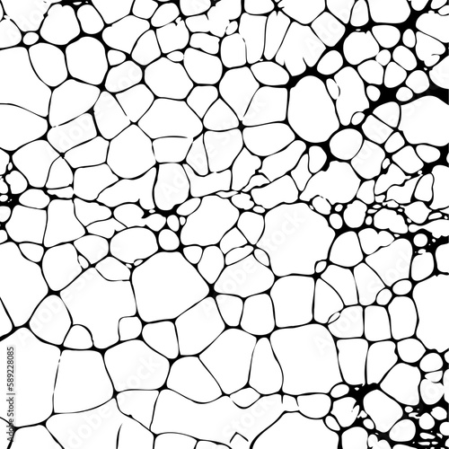 Grunge background from like cracked sand in the desert or earth faults or sea foam from black thin lines of cobwebs on a white background
