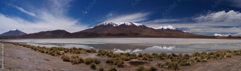 Andean landscape Hedionda lake, Bolivia