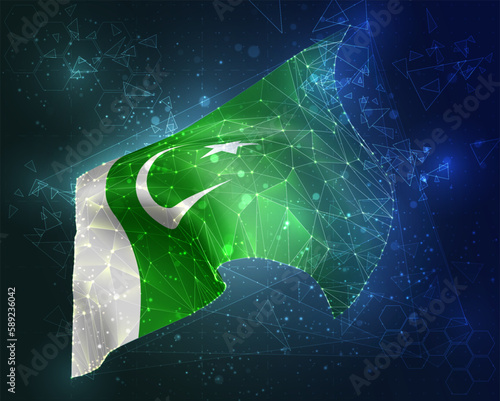 Pakistan,  vector flag, virtual abstract 3D object from triangular polygons on a blue background