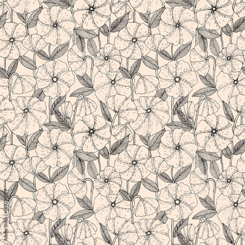 Botanical hand drawn seamless pattern made of ink pen poppy flowers with hatches. Simple minimalistic line art floral background in vintage style on beige.