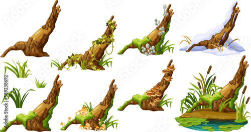 Cartoon broken tree in moss in swamp jungle. Stump with liana branches, ivy, cattails, bulrush. Log in honey mushrooms, under snow, with fungus. Isolated vector elements game on white background.