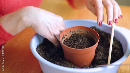 Woman planting seeds in a pot