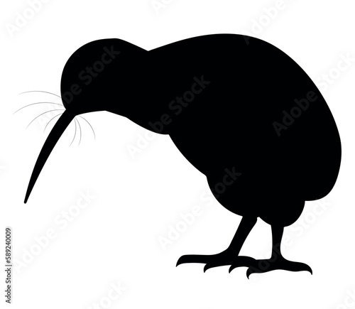 kiwi bird vector silhouette black one