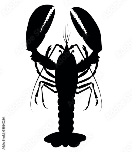 crayfish vertical vector silhouette black one