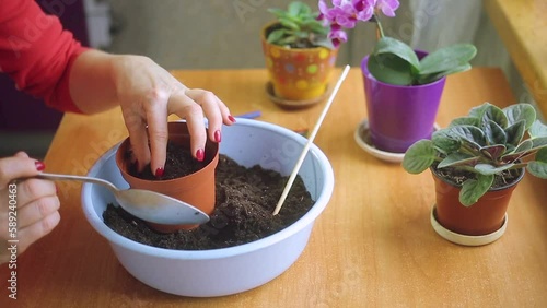Woman planting seeds in a pot
