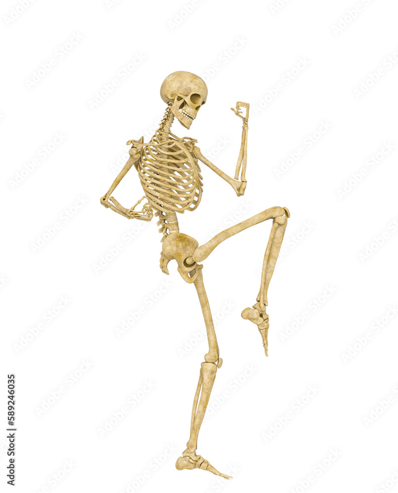 skeleton is celebrating skeleton is celebrating