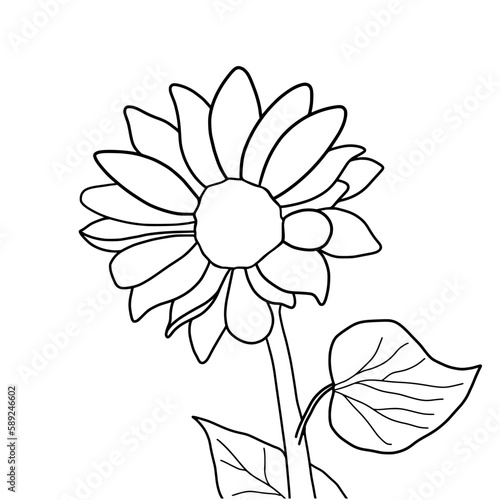 Hand drawn of sunflower on white background. Flower outline style. Vintage vector illustration.