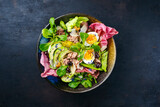 Traditionaler deutscher Blattsalat und italienischen Radicchio Salat serviert mit Thunfisch, Avocado und Gemüse als kreative und geschmacksvolle Vollwert Mahlzeit auf einem Teller mit Textfreiraum  