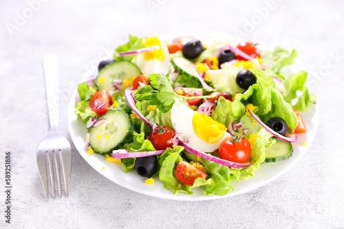 healthy vegetable salad with fresh lettuce,  tomato, cucumber and egg- diet food, healthy eating concept