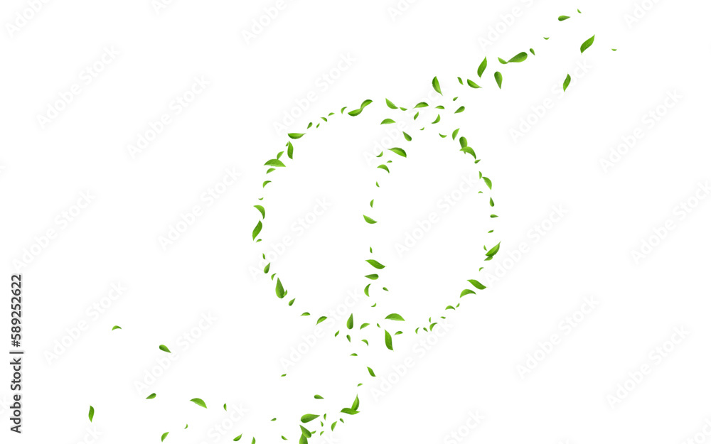 Fototapeta premium Swamp Leaf Organic Vector White Background