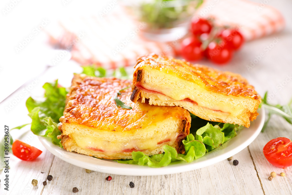Grilled cheese sandwich and salad Grilled cheese sandwich and salad