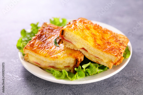 Grilled cheese sandwich and salad- croque monsieur