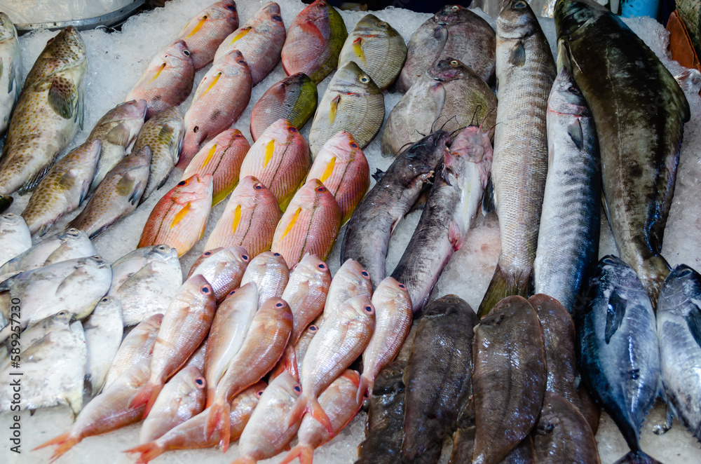 Fresh fish on a white counter at the seafood market Fresh fish on a white counter at the seafood market
