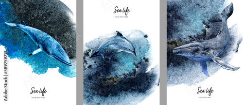 Photography Watercolor painting postcard set of sea wildlife animals isolated on splash background