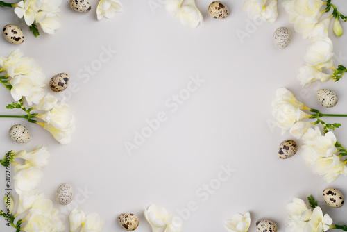 Happy Easter floral frame. White flowers  natural quail eggs on light grey background. Spring holiday composition. Fresh freesia and Easter eggs. Top view  flat lay  copy space. Blooming layout.