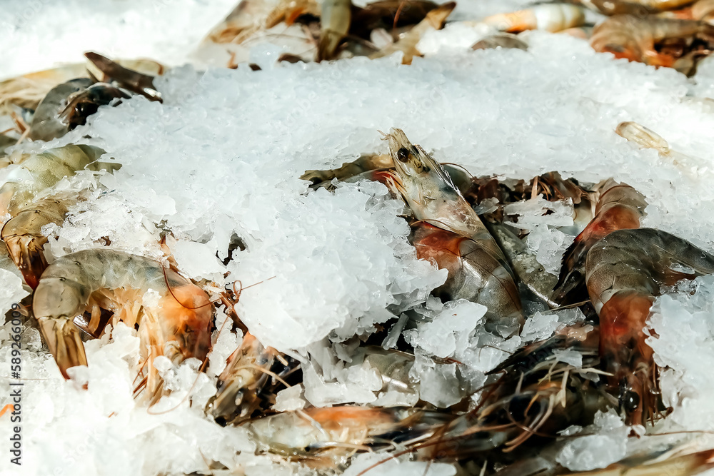 Row fresh shrimps on ice in the fish market