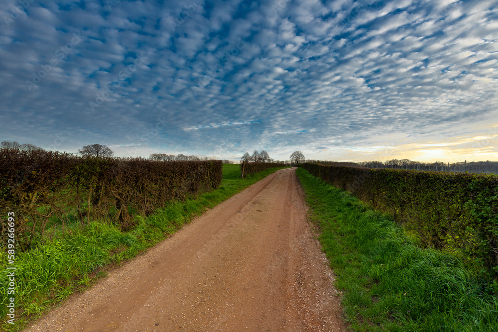 Magical sunset with a dramatic cloudscape in the rolling hills and the vineyards of South Limburg in the Netherlands during early spring season with amazing sunbeams