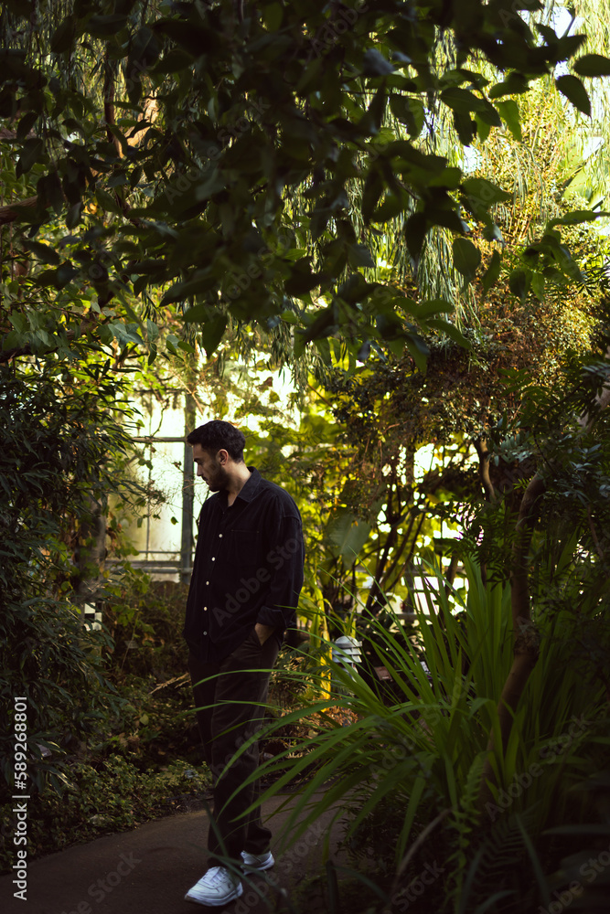 Young man in botanical garden. He explores different types of trees. Botany, arboretum, hortus botanicus in Amsterdam, Netherlands. Young man in botanical garden. He explores different types of trees. Botany, arboretum, hortus botanicus in Amsterdam, Netherlands.