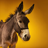 Portrait of a donkey on a yellow background. Generative AI.	
