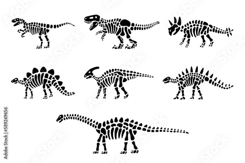 Set of dinosaur skeletons. Triceratops, Tyrannosaurus, Kentrosaurus, Brahiosaurus, Velociraptor, Stegosaurus, Parasaurolophus. Dinosaurs bones