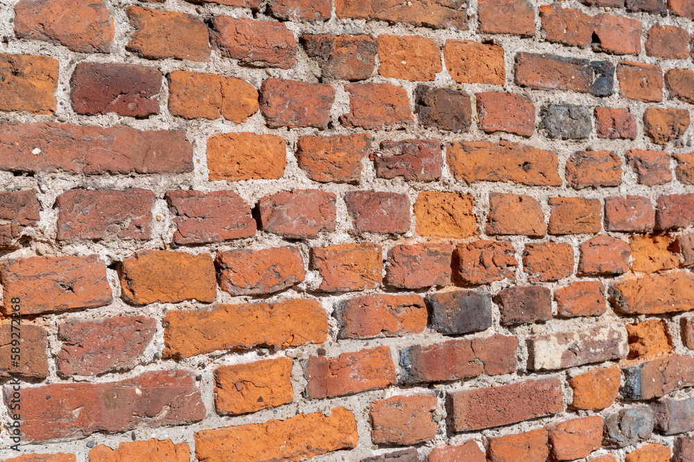 Obraz premium old brick wall in the sun