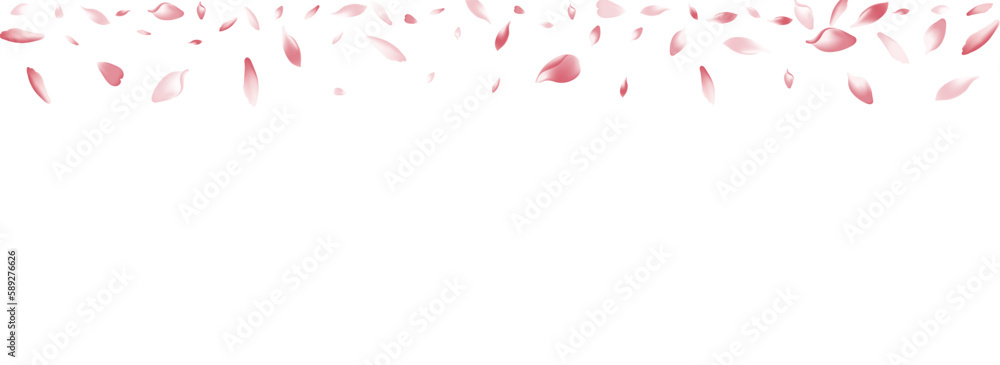 Pink Lotus Petal Vector Panoramic Background. Pink Lotus Petal Vector Panoramic Background.