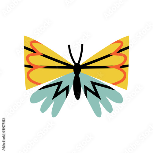 butterfly in trendy flat style. hand drawn vector illustration