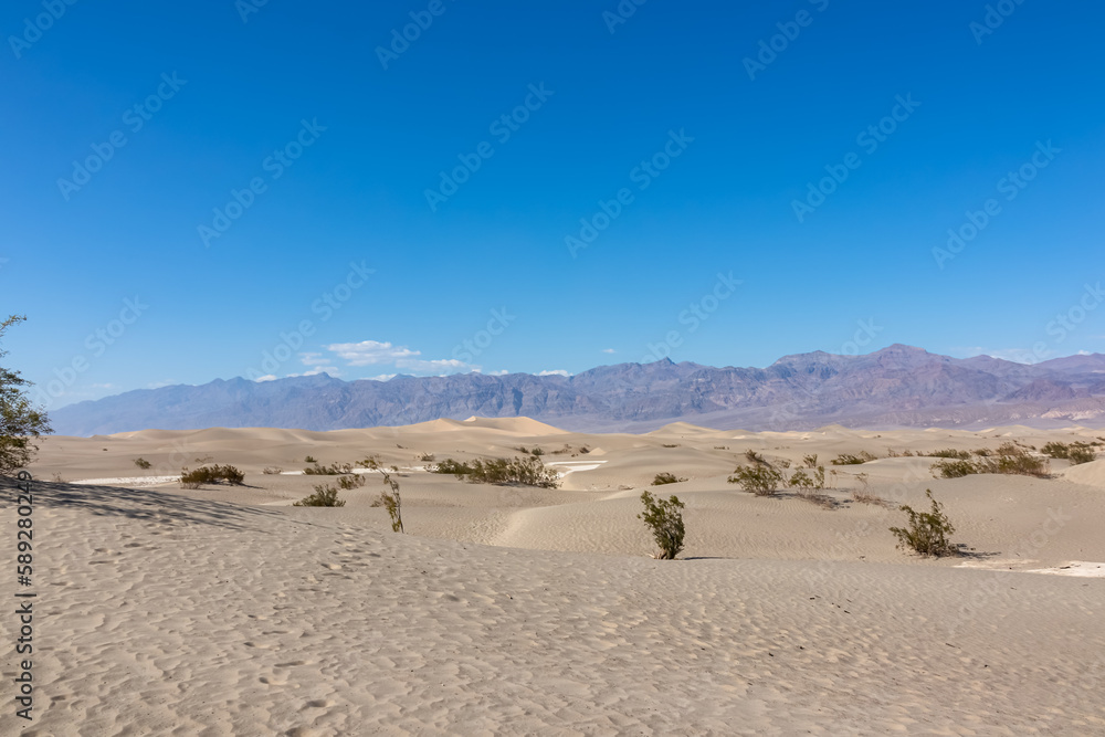 Panoramic view on Mesquite Flat Sand Dunes in Death Valley National Park, California, USA. Looking at dry Mojave desert on hot sunny summer day with Amargosa Mountain Range in the back. Landscape