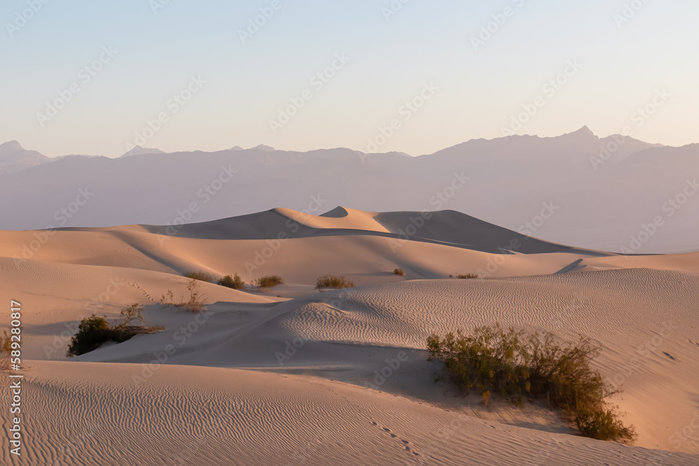 Panoramic view on natural pattern in sand during sunrise at Mesquite Flat Sand Dunes, Death Valley National Park, California, USA. Morning walk in Mojave desert with Amargosa Mountain Range in back Panoramic view on natural pattern in sand during sunrise at Mesquite Flat Sand Dunes, Death Valley National Park, California, USA. Morning walk in Mojave desert with Amargosa Mountain Range in back