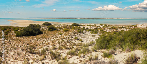 Beach covered with small shrubs, clear sea and sky in background, Nosy Satrana island near Anakao, Madagascar photo