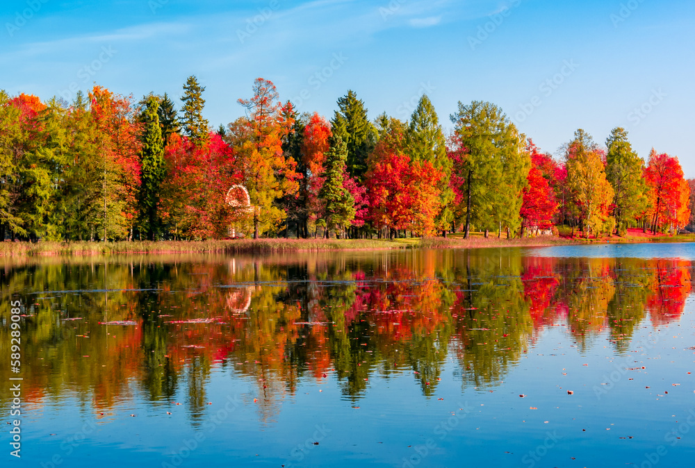 Autumn foliage and White lake in Gatchina park, Russia Autumn foliage and White lake in Gatchina park, Russia