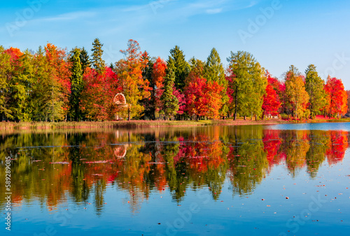 Autumn foliage and White lake in Gatchina park, Russia