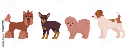 Cartoon decorative dogs. Cute little yorkshire terrier, toy terrier, bichon frise and jack russell terrier puppies. Happy domestic pets flat vector illustration set
