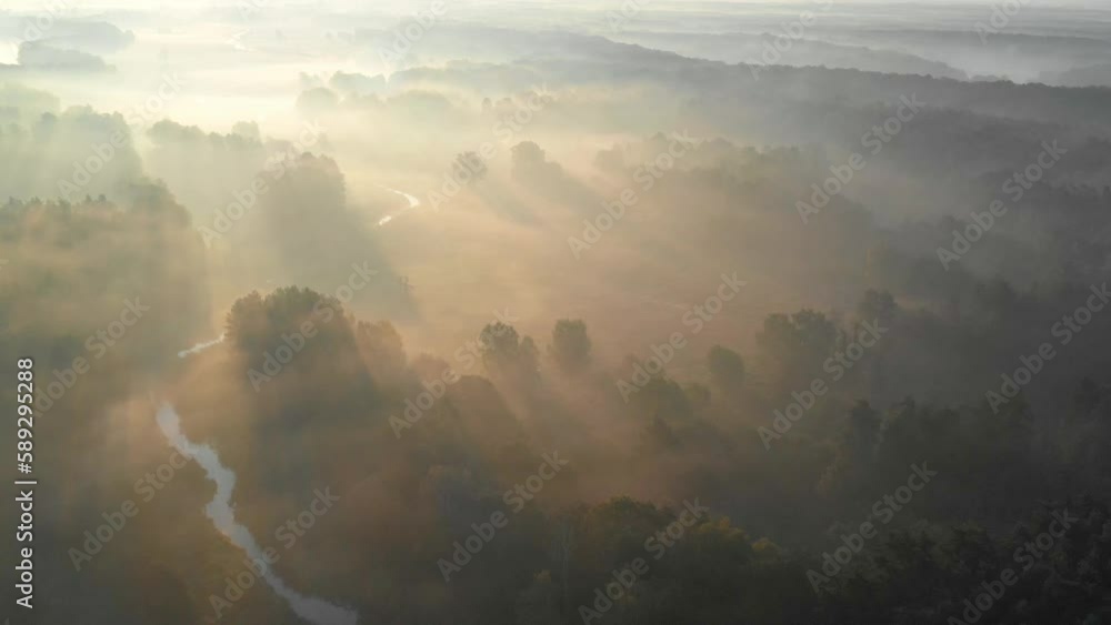 Summer sunrise landscape with trees in fog. Fields view from above in the morning. Summer scenic background. Summer sunrise landscape with trees in fog. Fields view from above in the morning. Summer scenic background.