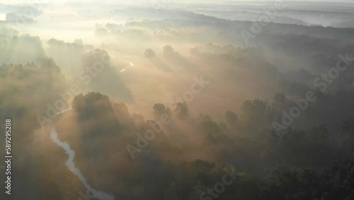 Summer sunrise landscape with trees in fog. Fields view from above in the morning. Summer scenic background.