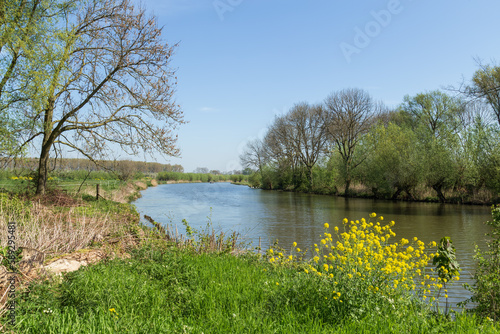 Fototapeta Naklejka Na Ścianę i Meble -  River Linge flows through the Betuwe landscape.