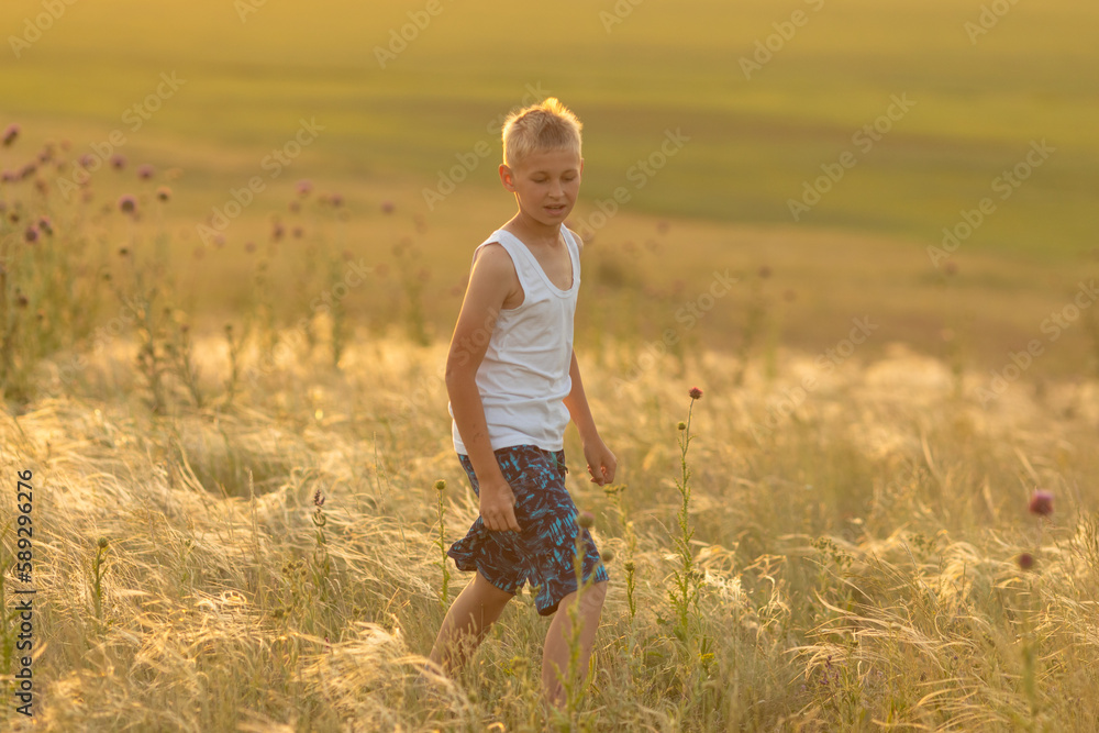A cute young boy on a hill among the feather grass. Summertime and happy childhood concept.