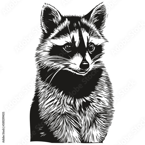 Cute kids hand drawn nursery poster with raccoon animal