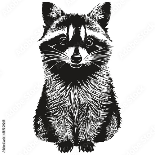 Vintage engrave isolated raccoon illustration cut ink sketch
